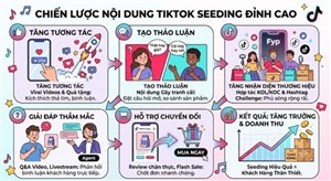 Seeding TikTok cần phải lưu ý gì để không bị spam?