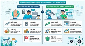 Tại Sao Nên Chọn Seeding Tiktok Thủ Công Thay Vì Sử Dụng Phần Mềm Seeding?