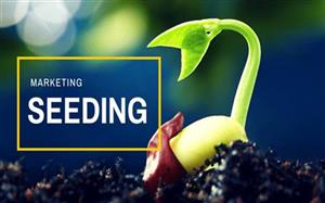 3 giai đoạn triển khai chiến dịch Seeding Marketing hiệu quả trong Digital Marketing