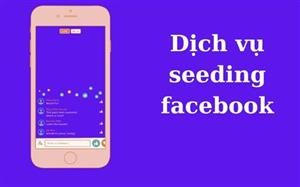 Seeding Facebook Giá Rẻ Và Hiệu Quả 2023