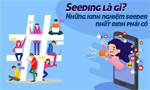 Seeding là gì? 3 Giai đoạn triển khai chiến dịch Seeding