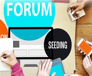 > Báo Giá Seeding Forum
